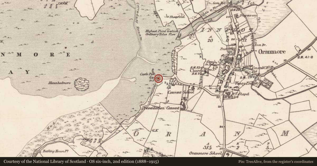 Ordnance Survey six-inch map, 2nd edition (1888–1915) covering the location of Castle - tower house, Oran More, County Galway, with a pin at the register's coordinates