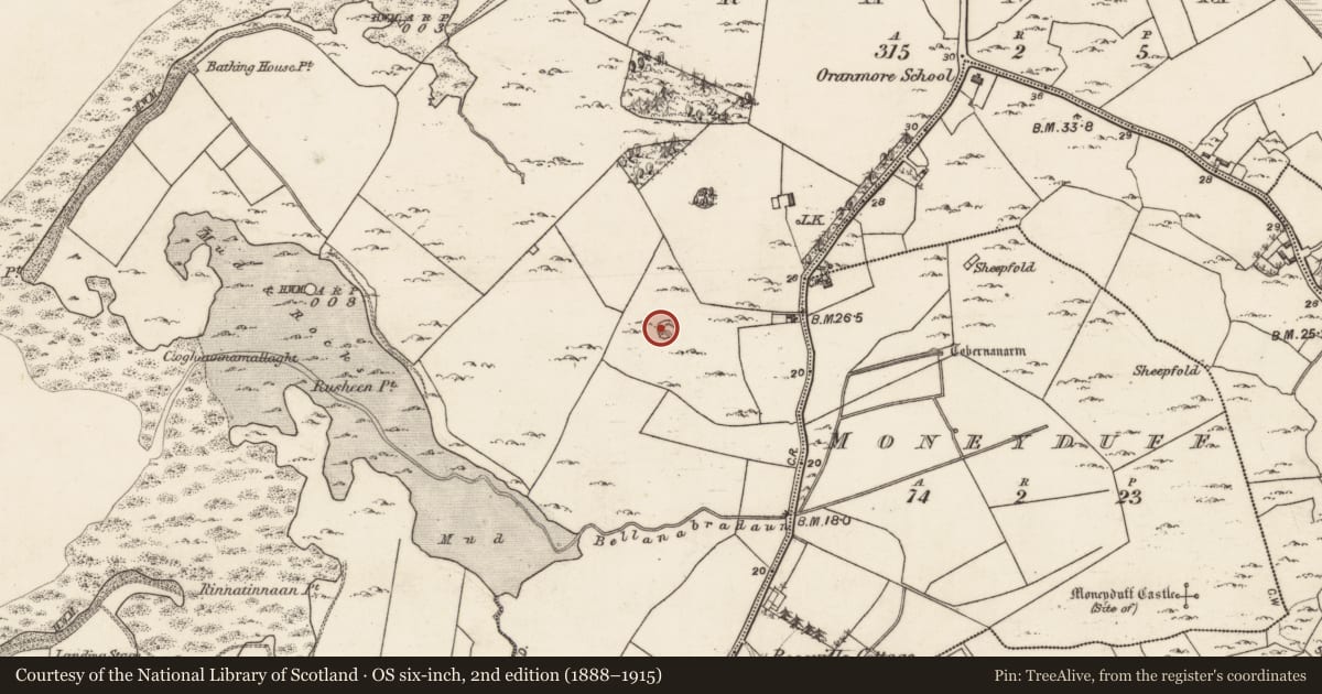 Ordnance Survey six-inch map, 2nd edition (1888–1915) covering the location of Enclosure, Oran More, County Galway, with a pin at the register's coordinates