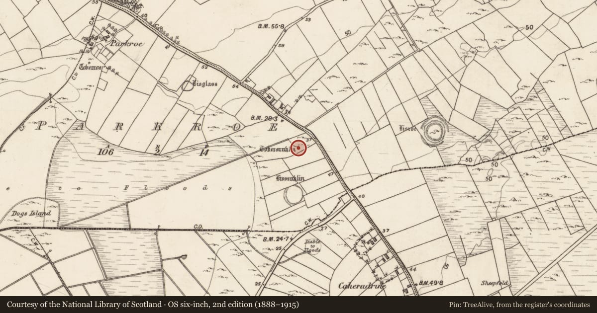 Ordnance Survey six-inch map, 2nd edition (1888–1915) covering the location of Ritual site - holy well, Parkroe, County Galway, with a pin at the register's coordinates