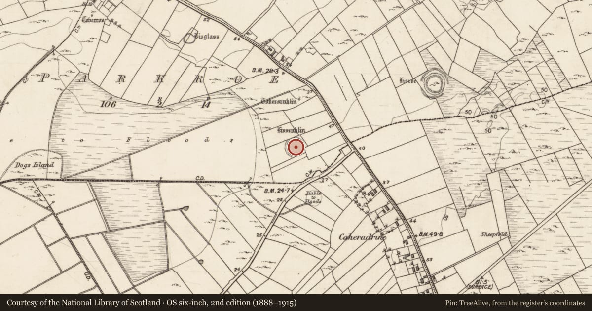 Ordnance Survey six-inch map, 2nd edition (1888–1915) covering the location of Ringfort - unclassified, Parkroe, County Galway, with a pin at the register's coordinates