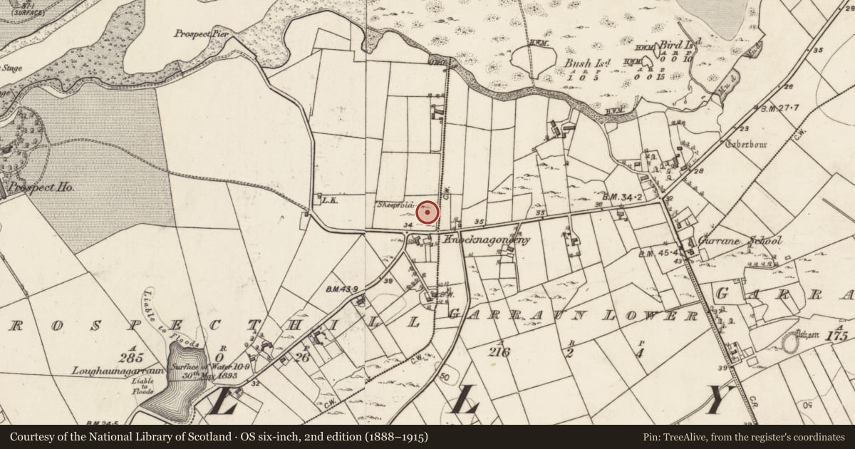 Ordnance Survey six-inch map, 2nd edition (1888–1915) covering the location of Megalithic tomb - court tomb, Prospecthill, County Galway, with a pin at the register's coordinates