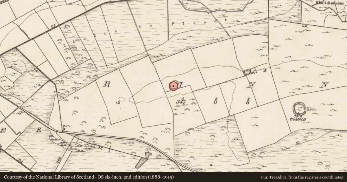 Ordnance Survey six-inch map, 2nd edition (1888–1915) covering the location of Ringfort - rath, Rinn, County Galway, with a pin at the register's coordinates
