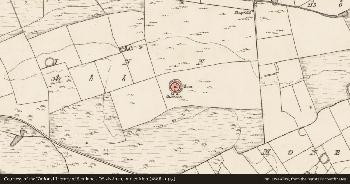 Ordnance Survey six-inch map, 2nd edition (1888–1915) covering the location of Souterrain, Rinn, County Galway, with a pin at the register's coordinates