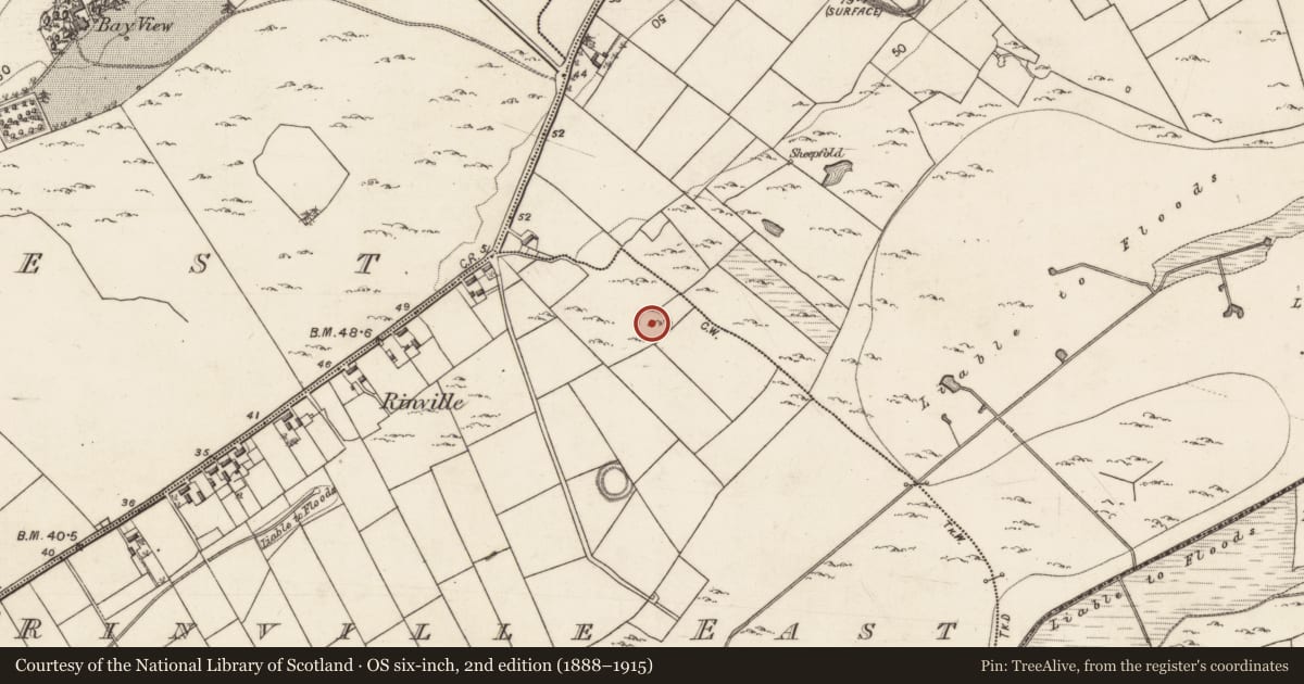 Ordnance Survey six-inch map, 2nd edition (1888–1915) covering the location of Ringfort - cashel, Rinville East, County Galway, with a pin at the register's coordinates