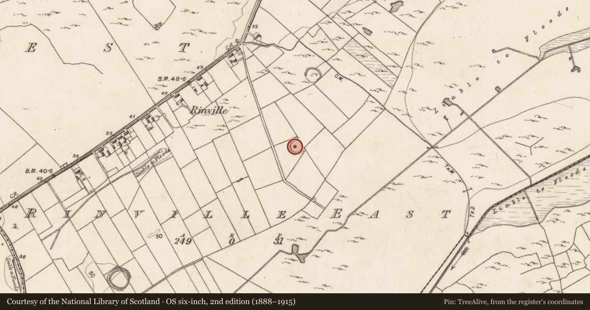 Ordnance Survey six-inch map, 2nd edition (1888–1915) covering the location of Ringfort - rath, Rinville East, County Galway, with a pin at the register's coordinates