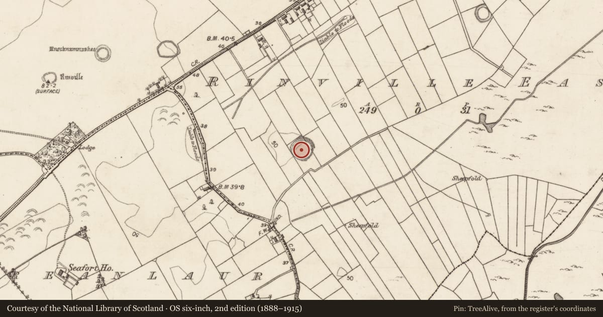Ordnance Survey six-inch map, 2nd edition (1888–1915) covering the location of Souterrain, Rinville East, County Galway, with a pin at the register's coordinates