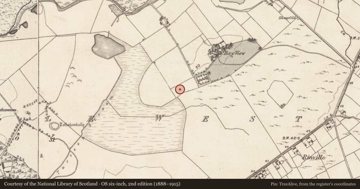 Ordnance Survey six-inch map, 2nd edition (1888–1915) covering the location of Ringfort - unclassified, Rinville West, County Galway, with a pin at the register's coordinates