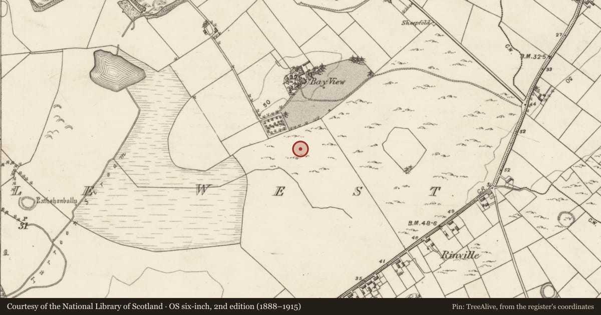 Ordnance Survey six-inch map, 2nd edition (1888–1915) covering the location of Kiln - lime, Rinville West, County Galway, with a pin at the register's coordinates