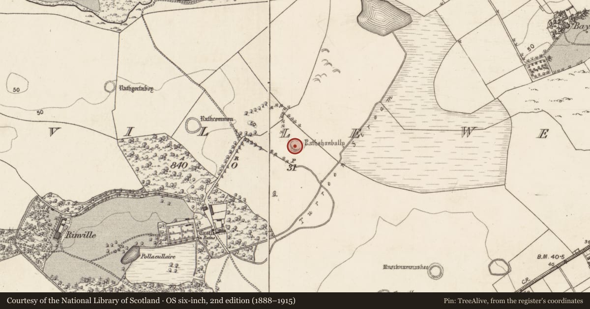 Ordnance Survey six-inch map, 2nd edition (1888–1915) covering the location of Ringfort - rath, Rinville West, County Galway, with a pin at the register's coordinates