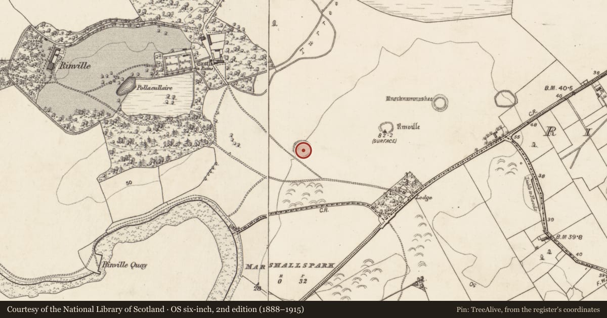Ordnance Survey six-inch map, 2nd edition (1888–1915) covering the location of Ringfort - rath, Rinville West, County Galway, with a pin at the register's coordinates