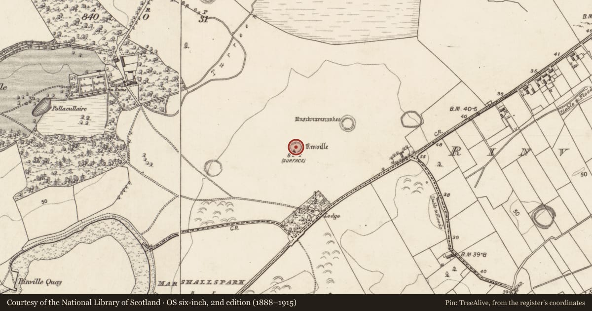 Ordnance Survey six-inch map, 2nd edition (1888–1915) covering the location of Ringfort - rath, Rinville West, County Galway, with a pin at the register's coordinates