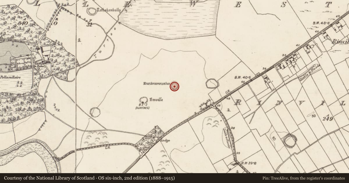 Ordnance Survey six-inch map, 2nd edition (1888–1915) covering the location of Ringfort - rath, Rinville West, County Galway, with a pin at the register's coordinates