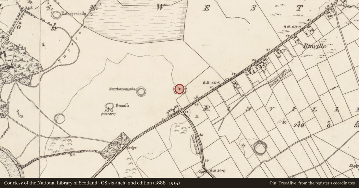 Ordnance Survey six-inch map, 2nd edition (1888–1915) covering the location of Ringfort - rath, Rinville West, County Galway, with a pin at the register's coordinates