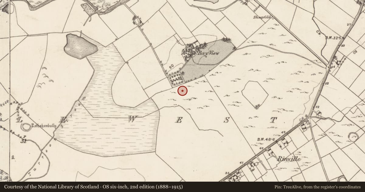 Ordnance Survey six-inch map, 2nd edition (1888–1915) covering the location of Enclosure, Rinville West, County Galway, with a pin at the register's coordinates