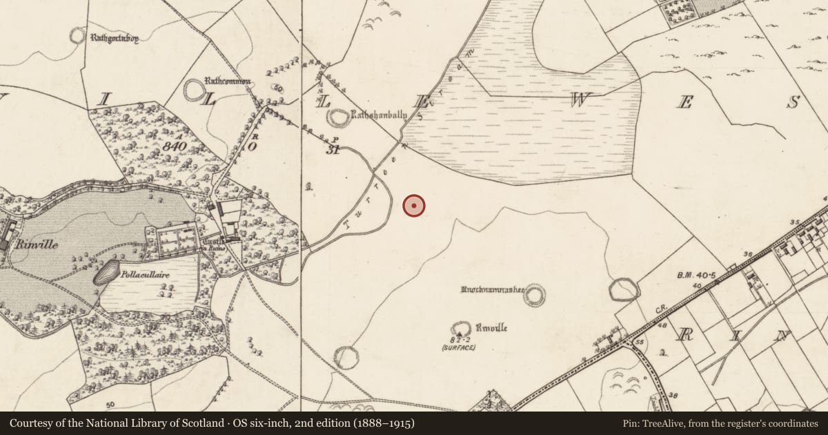 Ordnance Survey six-inch map, 2nd edition (1888–1915) covering the location of Field system, Rinville West, County Galway, with a pin at the register's coordinates