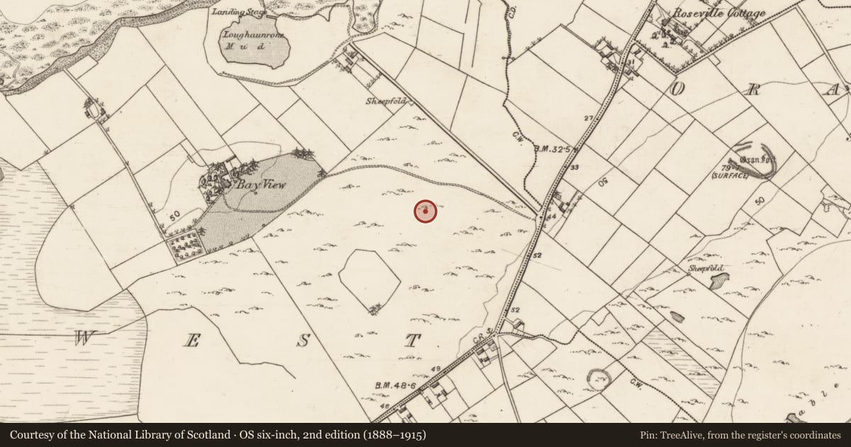 Ordnance Survey six-inch map, 2nd edition (1888–1915) covering the location of Ringfort - cashel, Rinville West, County Galway, with a pin at the register's coordinates