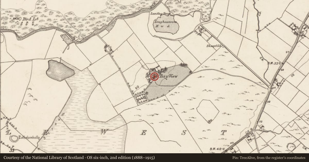 Ordnance Survey six-inch map, 2nd edition (1888–1915) covering the location of House - indeterminate date, Rinville West, County Galway, with a pin at the register's coordinates