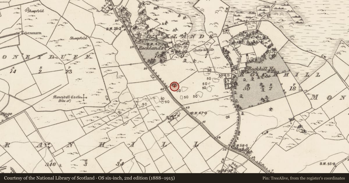Ordnance Survey six-inch map, 2nd edition (1888–1915) covering the location of Designed landscape feature, Rocklands, County Galway, with a pin at the register's coordinates