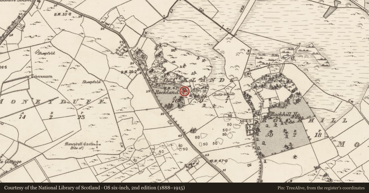 Ordnance Survey six-inch map, 2nd edition (1888–1915) covering the location of House - indeterminate date, Rocklands, County Galway, with a pin at the register's coordinates