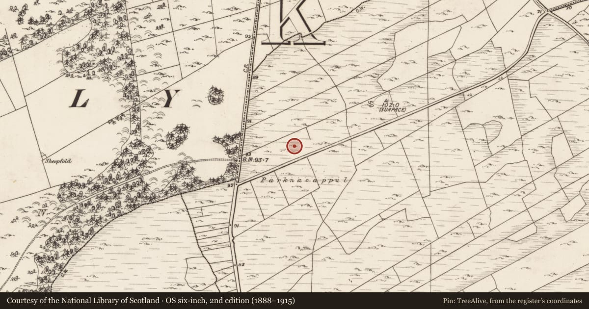 Ordnance Survey six-inch map, 2nd edition (1888–1915) covering the location of Megalithic tomb - wedge tomb, Roevehagh, County Galway, with a pin at the register's coordinates