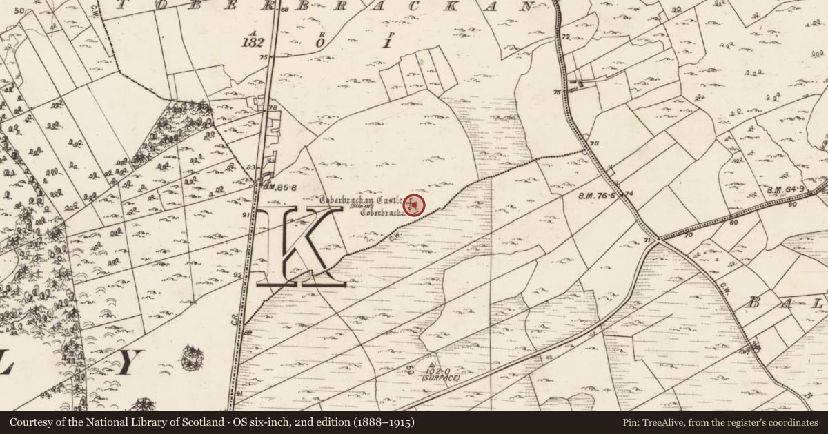 Ordnance Survey six-inch map, 2nd edition (1888–1915) covering the location of Castle - unclassified, Toberbrackan, County Galway, with a pin at the register's coordinates