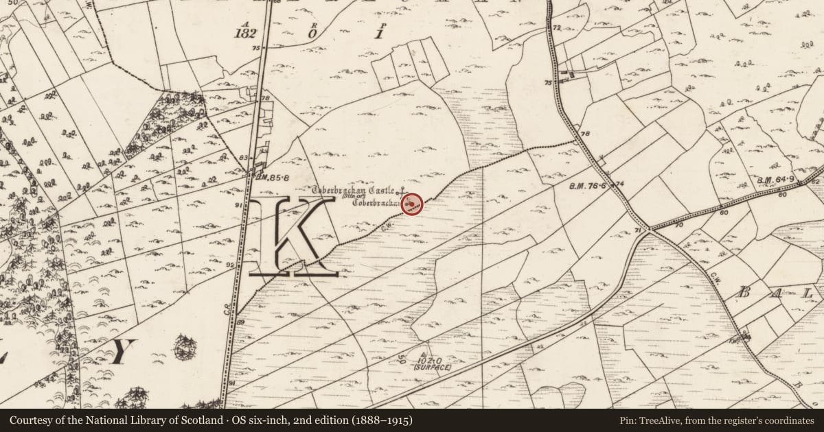 Ordnance Survey six-inch map, 2nd edition (1888–1915) covering the location of Memorial stone, Toberbrackan, County Galway, with a pin at the register's coordinates