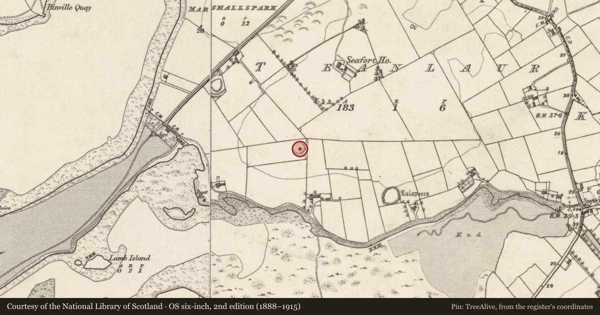 Ordnance Survey six-inch map, 2nd edition (1888–1915) covering the location of Ringfort - rath, Treanlaur, County Galway, with a pin at the register's coordinates