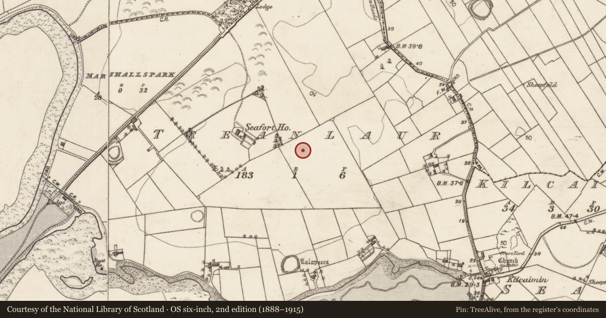 Ordnance Survey six-inch map, 2nd edition (1888–1915) covering the location of Hilltop enclosure, Treanlaur, County Galway, with a pin at the register's coordinates