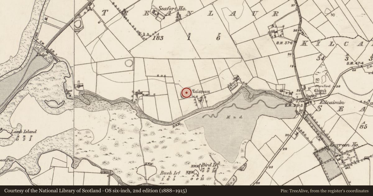Ordnance Survey six-inch map, 2nd edition (1888–1915) covering the location of Ringfort - rath, Treanlaur, County Galway, with a pin at the register's coordinates