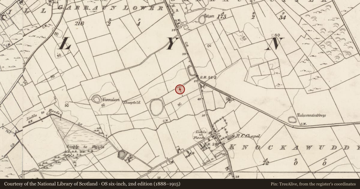 Ordnance Survey six-inch map, 2nd edition (1888–1915) covering the location of Bullaun stone, Garraun Lower, County Galway, with a pin at the register's coordinates