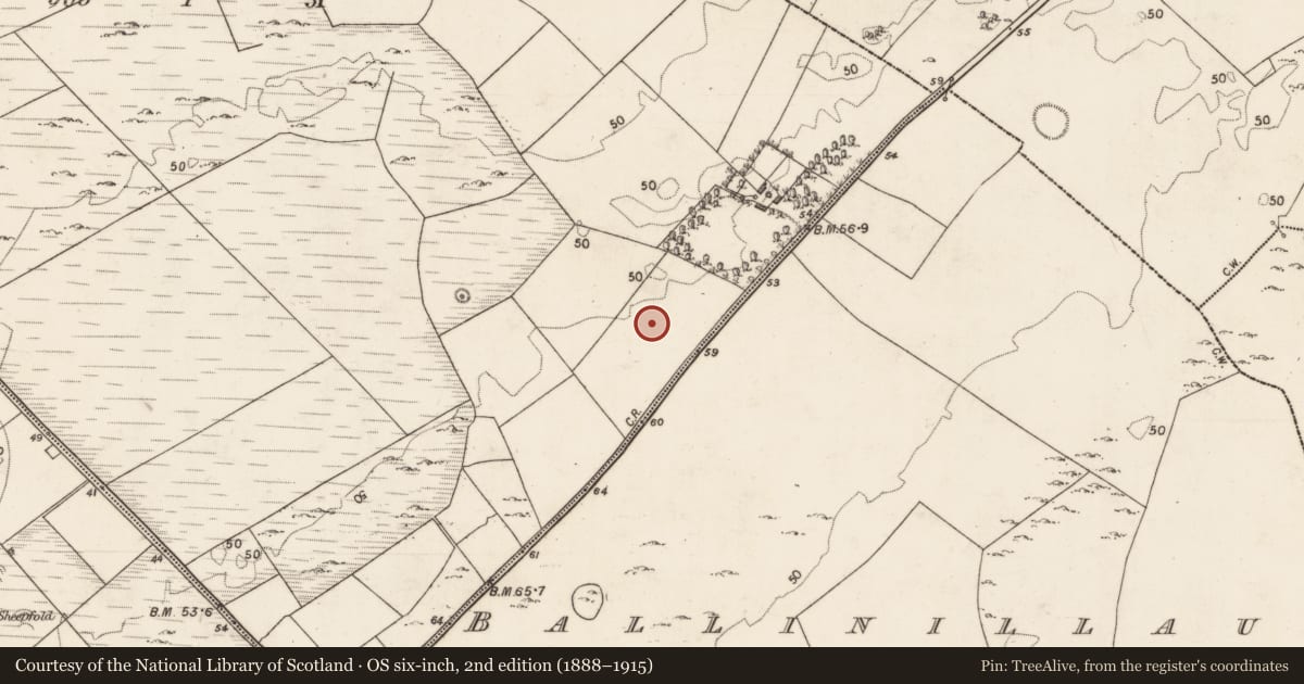 Ordnance Survey six-inch map, 2nd edition (1888–1915) covering the location of Cist, Moyveela, County Galway, with a pin at the register's coordinates