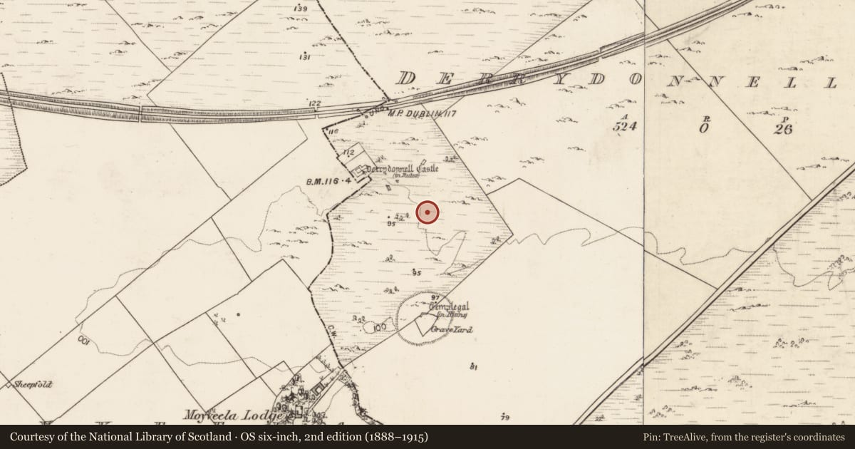 Ordnance Survey six-inch map, 2nd edition (1888–1915) covering the location of Field system, Derrydonnell More, Moyveela, County Galway, with a pin at the register's coordinates