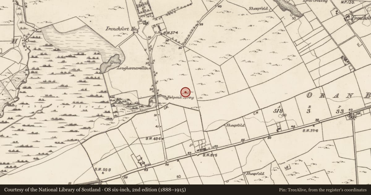 Ordnance Survey six-inch map, 2nd edition (1888–1915) covering the location of Enclosure, Frenchfort, County Galway, with a pin at the register's coordinates