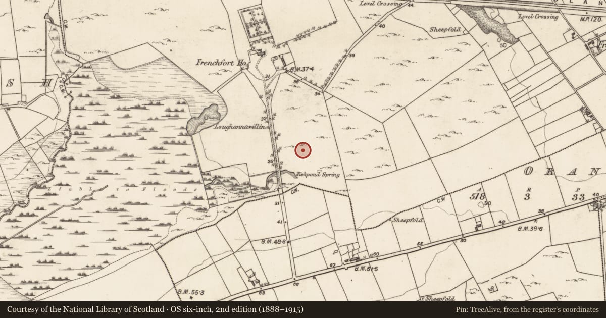 Ordnance Survey six-inch map, 2nd edition (1888–1915) covering the location of Road - road/trackway, Frenchfort, County Galway, with a pin at the register's coordinates