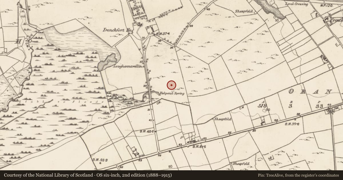Ordnance Survey six-inch map, 2nd edition (1888–1915) covering the location of Structure, Frenchfort, County Galway, with a pin at the register's coordinates