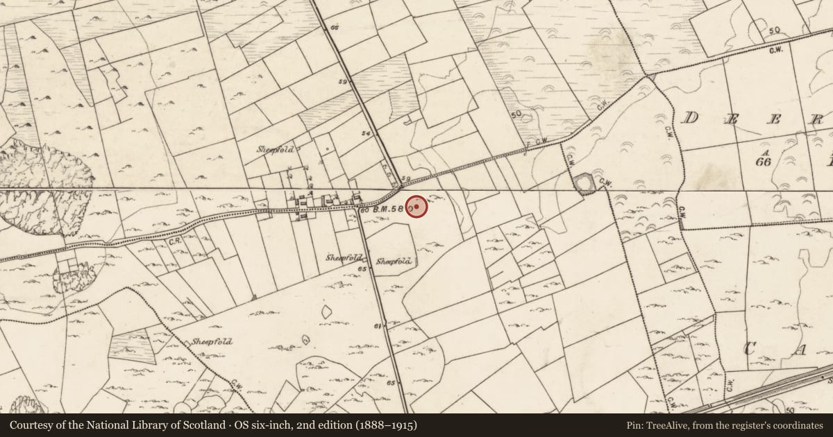 Ordnance Survey six-inch map, 2nd edition (1888–1915) covering the location of Ringfort - cashel, Garraun South, County Galway, with a pin at the register's coordinates