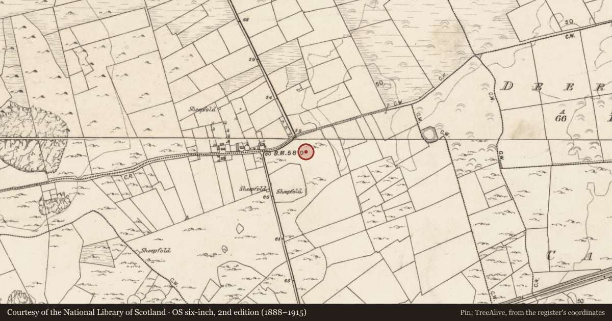Ordnance Survey six-inch map, 2nd edition (1888–1915) covering the location of Field system, Garraun South, County Galway, with a pin at the register's coordinates