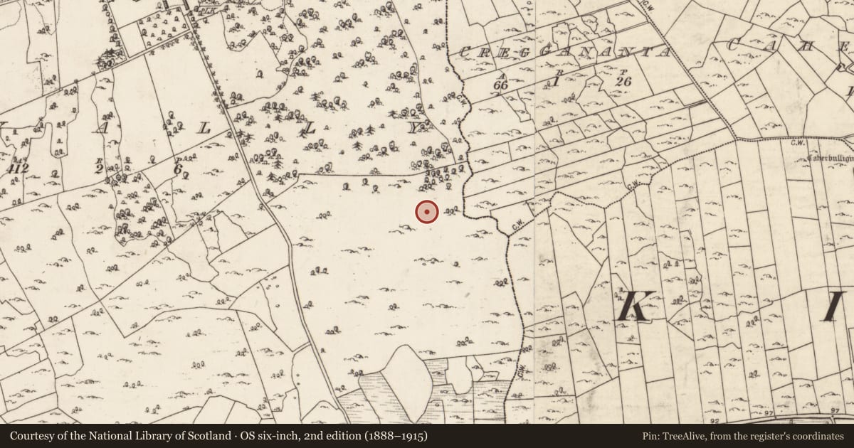 Ordnance Survey six-inch map, 2nd edition (1888–1915) covering the location of Burial, Lavally, County Galway, with a pin at the register's coordinates