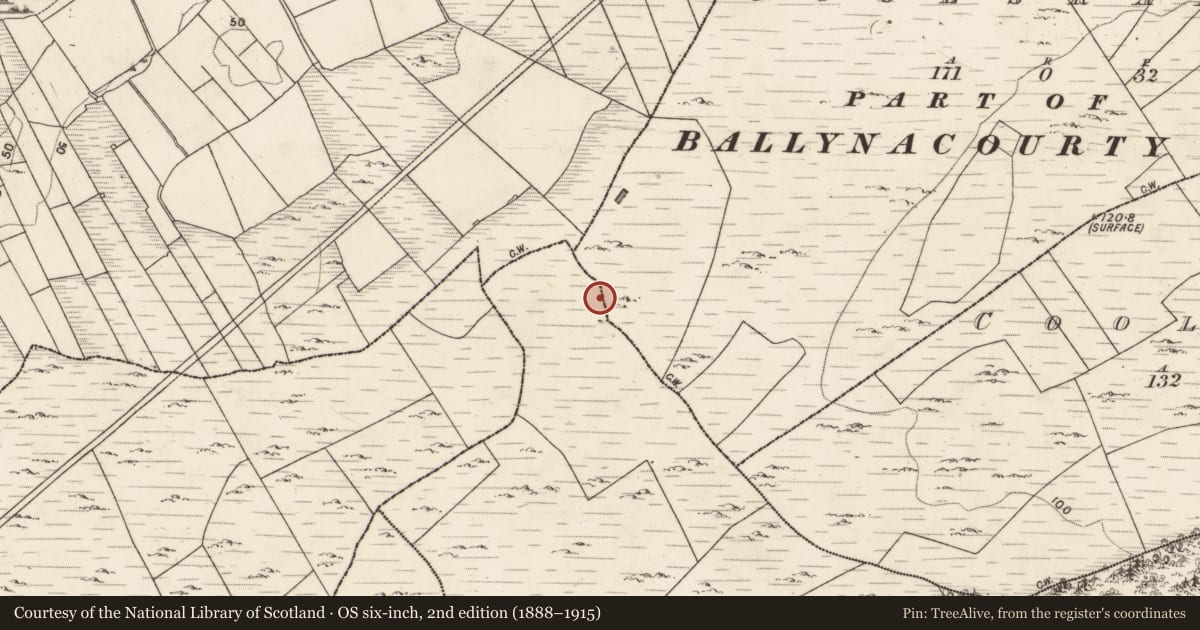 Ordnance Survey six-inch map, 2nd edition (1888–1915) covering the location of Ringfort - cashel, Cloghalahard, Coolsrahra, County Galway, with a pin at the register's coordinates