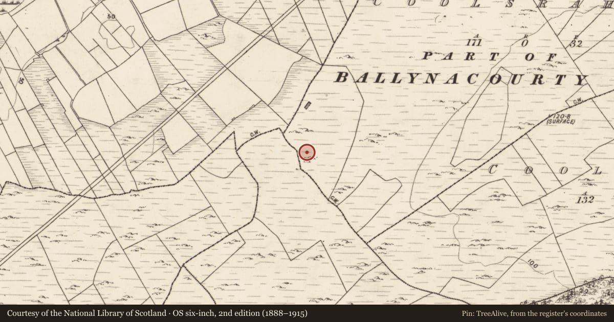 Ordnance Survey six-inch map, 2nd edition (1888–1915) covering the location of House - indeterminate date, Coolsrahra, County Galway, with a pin at the register's coordinates