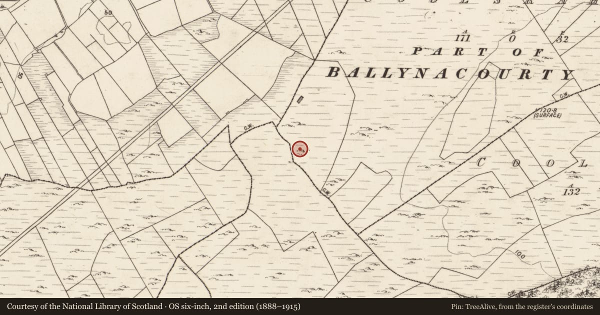 Ordnance Survey six-inch map, 2nd edition (1888–1915) covering the location of House - indeterminate date, Coolsrahra, County Galway, with a pin at the register's coordinates