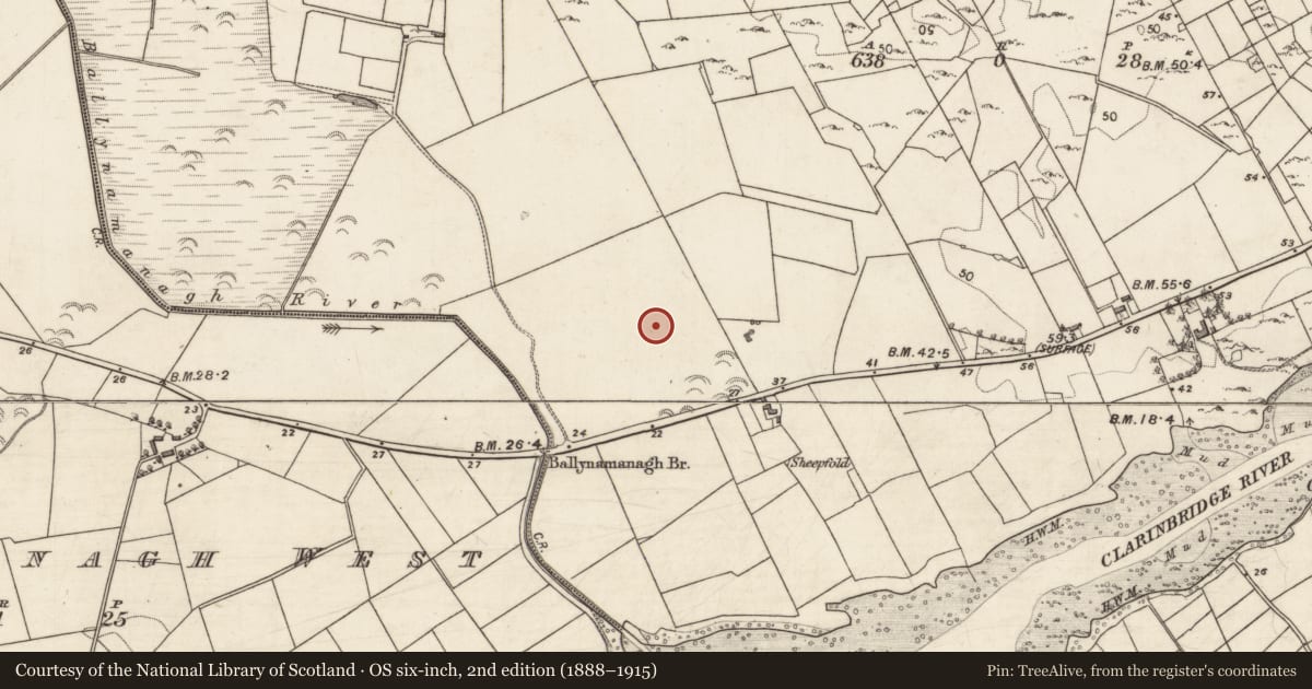 Ordnance Survey six-inch map, 2nd edition (1888–1915) covering the location of Fulacht fia, Ballynamanagh East, County Galway, with a pin at the register's coordinates