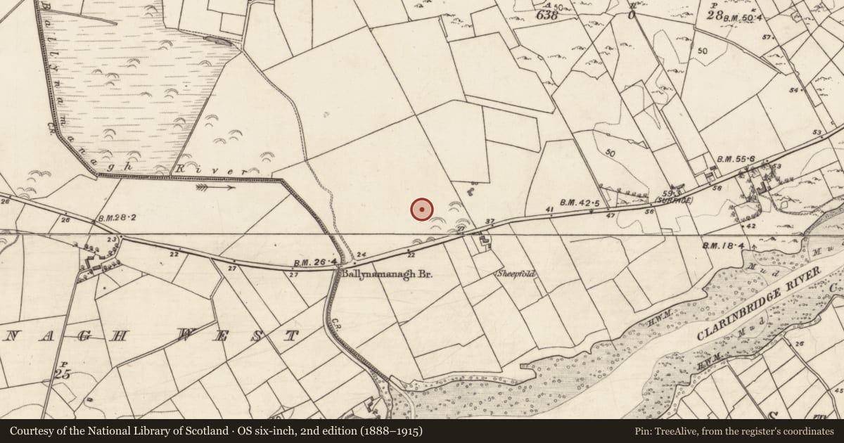 Ordnance Survey six-inch map, 2nd edition (1888–1915) covering the location of Fulacht fia, Ballynamanagh East, County Galway, with a pin at the register's coordinates