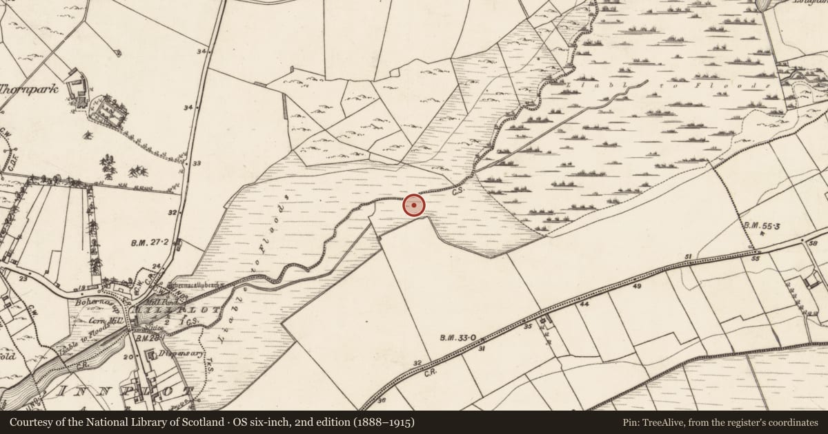 Ordnance Survey six-inch map, 2nd edition (1888–1915) covering the location of Fulacht fia, Frenchfort, County Galway, with a pin at the register's coordinates