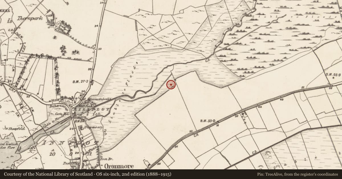 Ordnance Survey six-inch map, 2nd edition (1888–1915) covering the location of Fulacht fia, Frenchfort, County Galway, with a pin at the register's coordinates