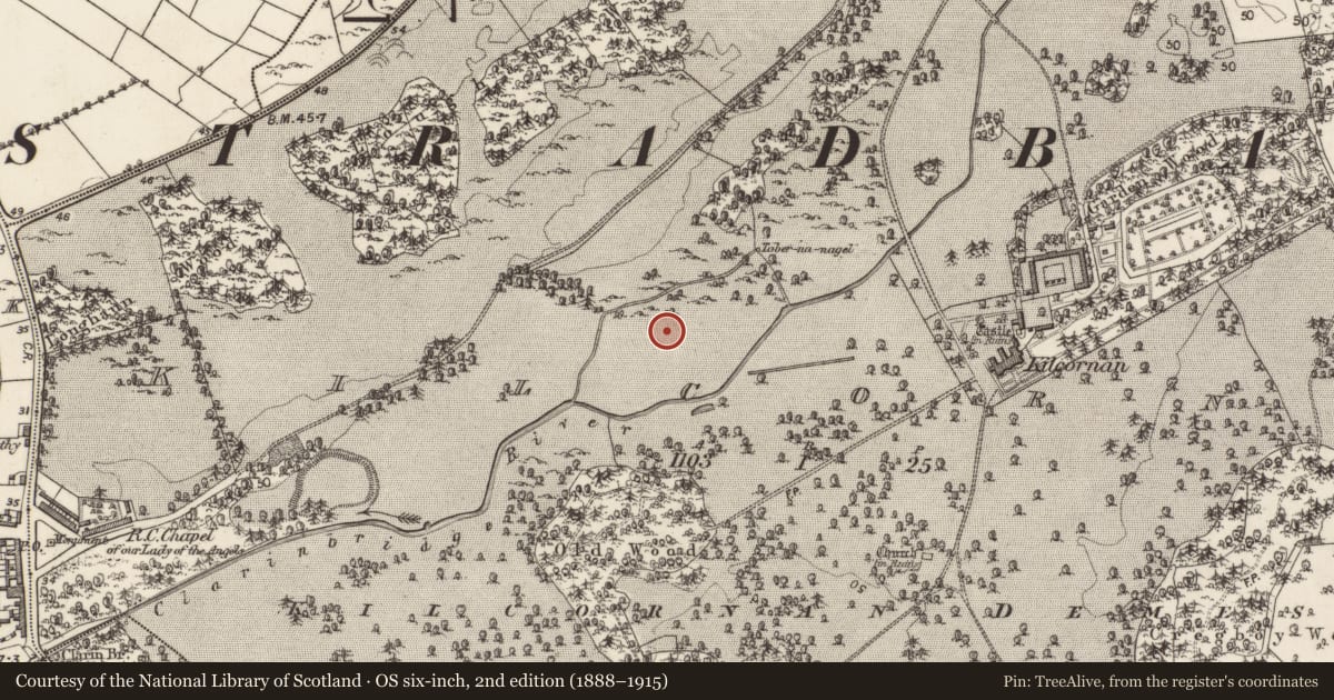 Ordnance Survey six-inch map, 2nd edition (1888–1915) covering the location of Pit-burial, Kilcornan, County Galway, with a pin at the register's coordinates