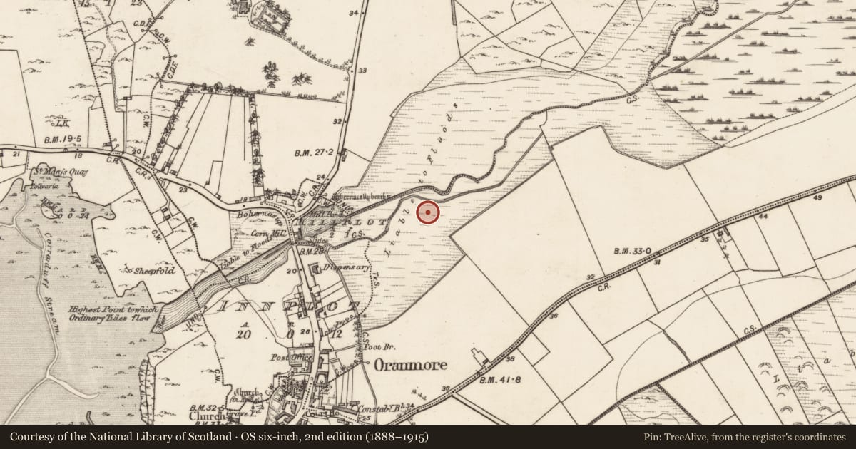 Ordnance Survey six-inch map, 2nd edition (1888–1915) covering the location of Moated site, Frenchfort, County Galway, with a pin at the register's coordinates