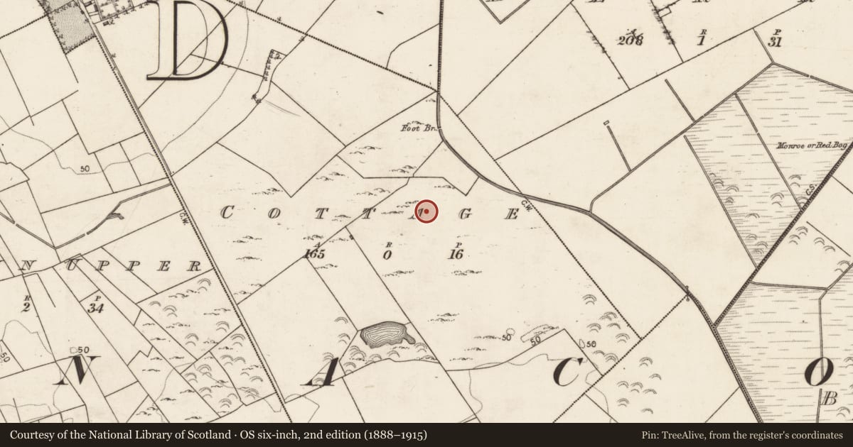 Ordnance Survey six-inch map, 2nd edition (1888–1915) covering the location of Enclosure, Cottage, County Galway, with a pin at the register's coordinates