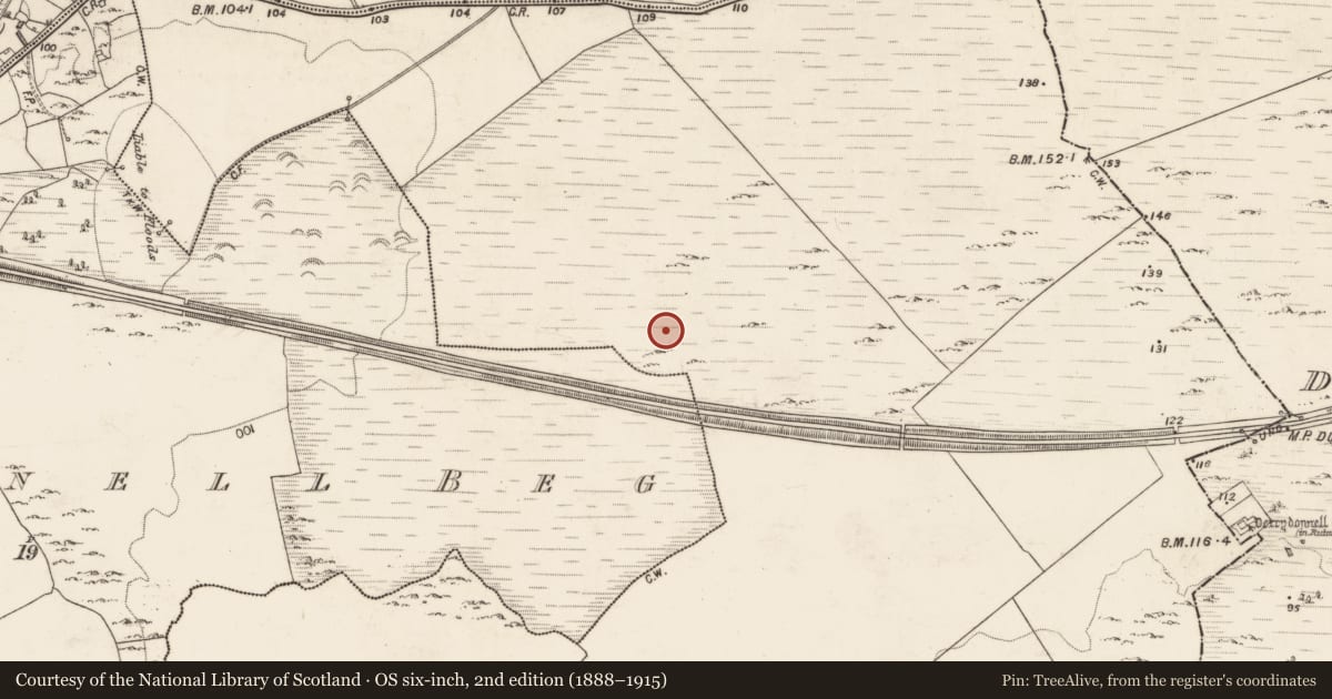 Ordnance Survey six-inch map, 2nd edition (1888–1915) covering the location of Enclosure, Derrydonnell Beg, Moyveela, County Galway, with a pin at the register's coordinates