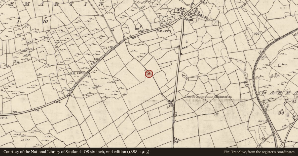 Ordnance Survey six-inch map, 2nd edition (1888–1915) covering the location of Ringfort - cashel, Ballymore, Ballywinna, County Galway, with a pin at the register's coordinates